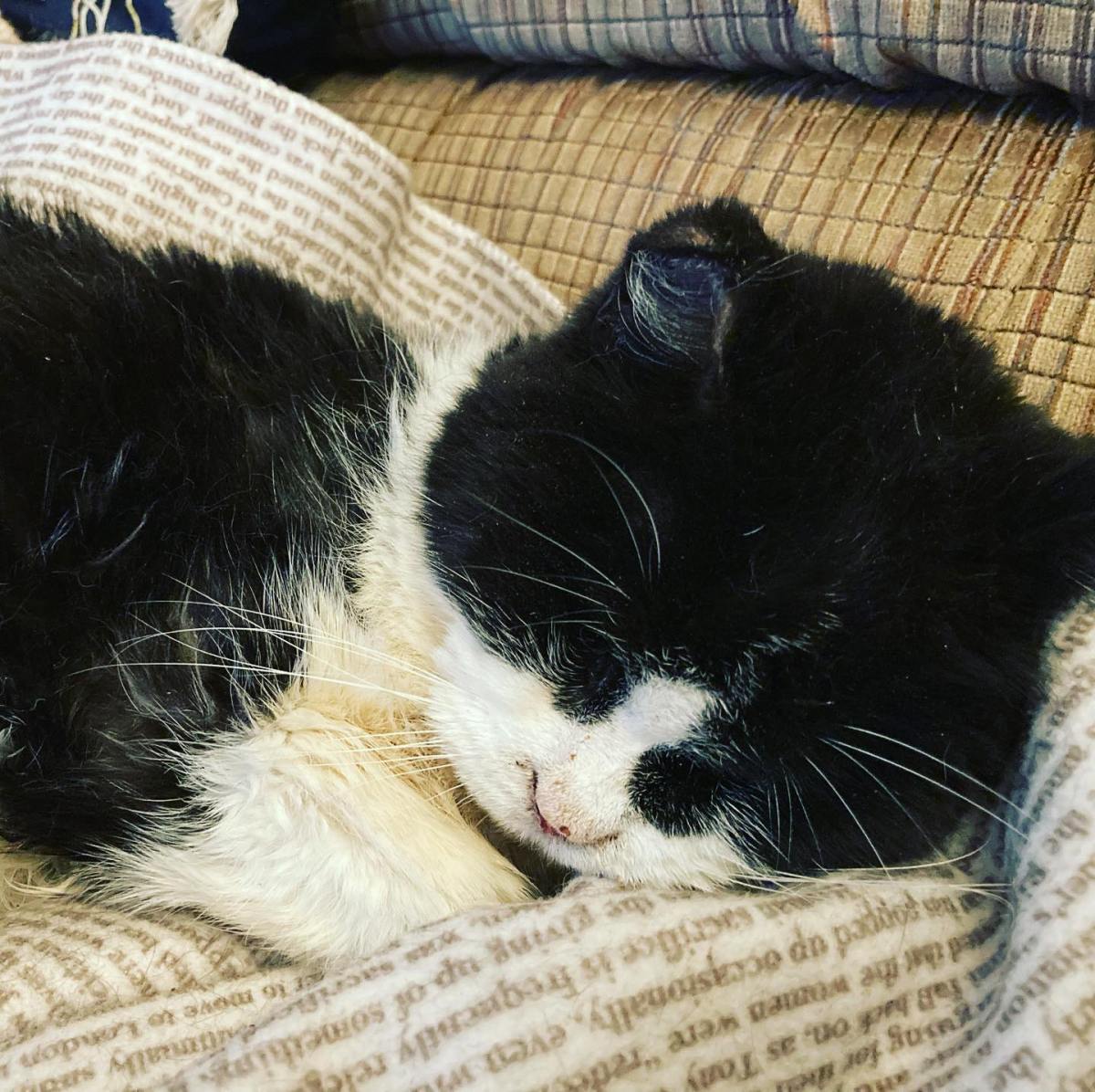 A Millennial’s Guide to Breast Cancer: Translating&nbsp;Medicalese